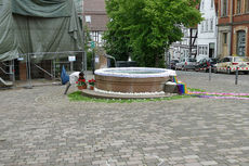 Bluemteppich auf dem Naumburegr Marktplatz (Foto: Karl-Franz Thiede)